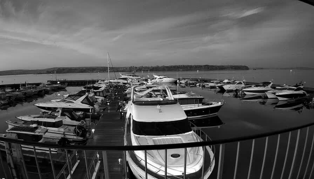 A black and white image shows a marina filled with various boats moored along docks. The foreground displays several boats, with one large boat prominently featured, reflecting in the calm water. In the background, additional boats are visible, and the distant shoreline is lined with trees. The sky is partly cloudy, creating a serene atmosphere.