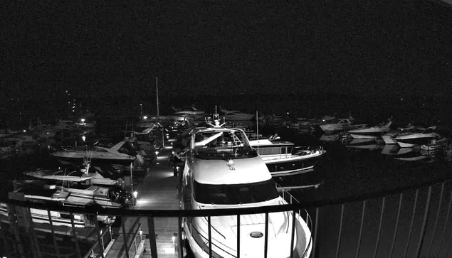 A dark night scene of a marina filled with several boats. The image is mostly black and white, showcasing numerous boats docked closely together. Some boats have visible lights reflecting off the water, creating a faint illumination. A railing is visible in the foreground, suggesting the perspective is from a higher vantage point. The overall atmosphere is calm and quiet, typical of a nighttime marina setting.