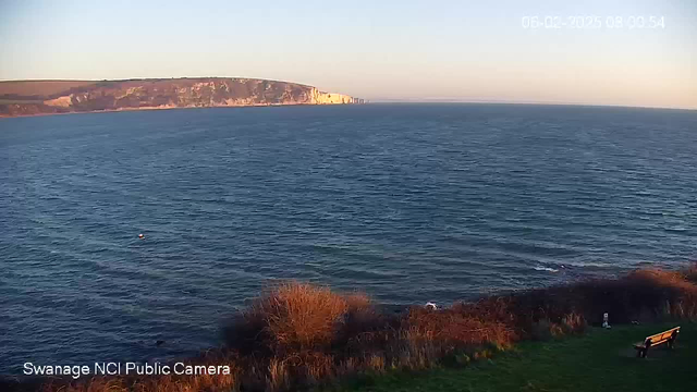 A scenic view of the sea with gentle waves, under a clear blue sky. In the foreground, there is a patch of grassy land with bushes and a bench visible on the right side. The coastline in the background features chalk cliffs that rise up sharply from the water, illuminated by the soft light of morning. A small buoy is floating in the water, adding a touch of detail to the tranquil scene.