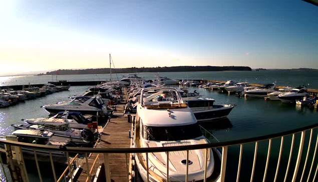 A marina scene featuring multiple boats moored in calm water. The view includes a wooden dock extending into the water, surrounded by several yachts and smaller vessels. In the background, a shoreline is visible, bordered by greenery. The sky is clear with a warm glow from the sun, suggesting a bright day.