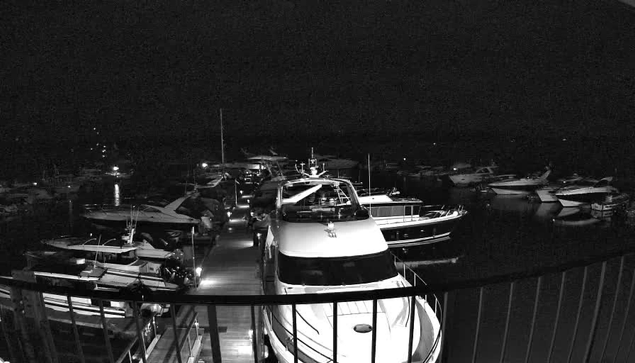 A nighttime scene of a marina filled with various boats, mostly yachts. The image is in black and white, showcasing a wooden dock leading into the water where the boats are moored. The boats vary in size, with some larger vessels prominently positioned. The water reflects faint light sources, creating a subtle contrast against the dark surroundings. A railing is visible in the foreground, framing the view.