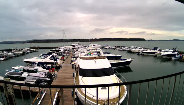 A marina filled with various boats is shown, docked along a wooden pier. The scene is under a cloudy sky, with the water reflecting the overcast conditions. In the foreground, there is a white and gold yacht, while several other boats of different sizes, shapes, and colors are moored nearby. The background features land and a distant shoreline with trees. The overall atmosphere is calm and serene.