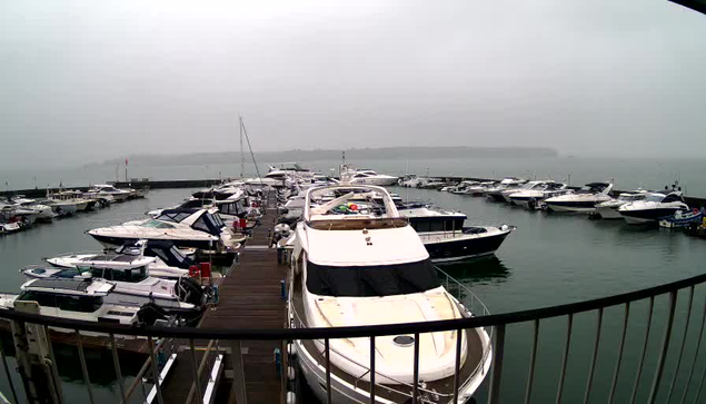 A marina scene on a foggy day with numerous boats docked in the water. In the foreground, a large white yacht with a cabin and a circular opening on the top is visible. Surrounding it are several smaller boats, some with colorful covers, reflecting in the greenish water. A wooden dock extends along the left side of the image, and a railing is present in the lower part of the scene. The background features a misty landscape with trees visible on the horizon, enhancing the calm and quiet atmosphere.