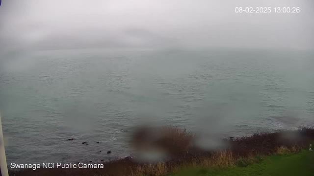 A cloudy and overcast sky is visible above a calm sea, with the water appearing gray and slightly rippled. There are some dark rocks partially submerged in the water in the foreground, and low, bushy vegetation along the edge of the shore. The image has a slight fog or blur, suggesting a damp atmosphere. A timestamp in the corner indicates the date and time: 08-02-2025, 13:00:26.