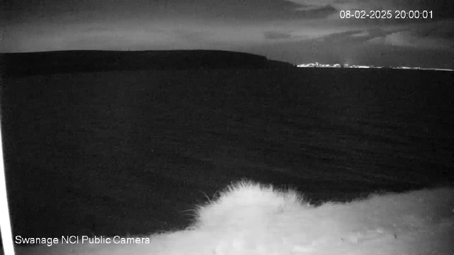 A dark, nighttime coastal scene is depicted, with calm water extending to the horizon. A faint outline of a distant shoreline is visible in the background. The sky is mostly cloudy, with some light reflecting off the water. The foreground features a soft, white area resembling sand or foam along the water's edge. In the top right corner, a timestamp displays "08-02-2025 20:00:01."