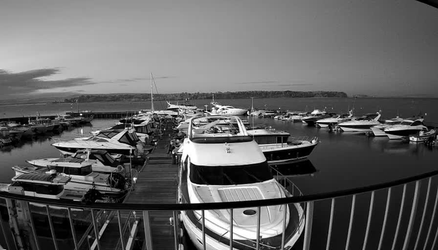 A black and white image showing a marina filled with various boats docked along wooden piers. The scene captures multiple vessels of different sizes and styles, some of which are facing the camera while others are angled away. The water surrounding the boats is calm, reflecting the boats and the distant shoreline covered with trees. The sky is mostly clear with a few clouds visible. A railing in the foreground adds depth to the composition.