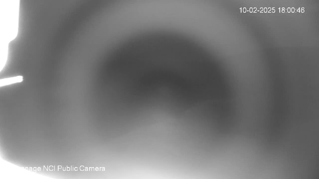 A blurred, grayscale image showing a circular, undefined shape at the center, surrounded by lighter areas. The date and time in the top right corner reads "10-02-2025 18:00:46," with a label at the bottom left indicating it is from a public camera. The overall quality is low with significant lack of detail.