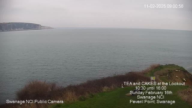 A view of a calm sea extending to the horizon under a cloudy sky. The coastline is visible on the left, featuring cliffs and grassy areas. In the foreground, there are patches of grass and shrubs. Text in the lower corner advertises an event with details about tea and cakes at a lookout point, including the time and date.