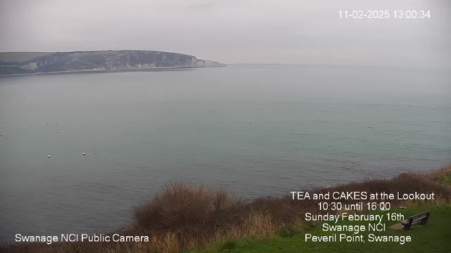 A cloudy seascape viewed from a high vantage point. The water appears calm and reflects the muted sky, with gentle waves rippling across the surface. In the distance, a rocky coastline rises, partially obscured by mist. Several small boats are visible on the water, and grassy terrain in the foreground is dotted with bushes. Text at the bottom announces an event featuring tea and cakes.