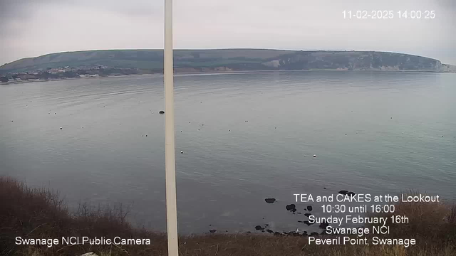 A tranquil coastal scene showing calm water with gentle ripples. In the background, a green hillside is visible under an overcast sky. A pole is present in the foreground, partially obstructing the view. Floating objects can be seen on the water's surface. Text in the lower part of the image promotes a tea and cakes event at the Lookout on February 16th, along with the location, Swanage NCI, and the time of the event.