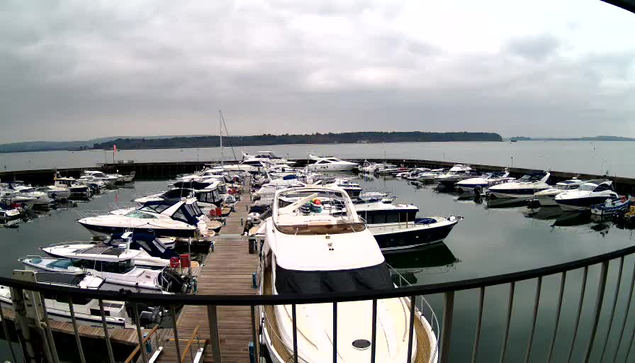 A view of a marina filled with many boats of various sizes, moored peacefully in the water. The sky is overcast with gray clouds, and a wooden dock runs across the foreground. In the background, a calm body of water stretches towards the horizon, where it meets a line of trees.