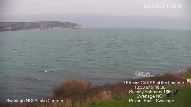 A coastal scene showing calm, greenish water with small waves and a cloudy sky. In the background, there are cliffs with greenery and some rocky outcrops. The foreground includes patches of grass and a few shrubs, with a bench positioned to the right side of the image. Text at the bottom indicates it is a public webcam from Swanage NCI, and there is promotional text for a tea and cakes event.