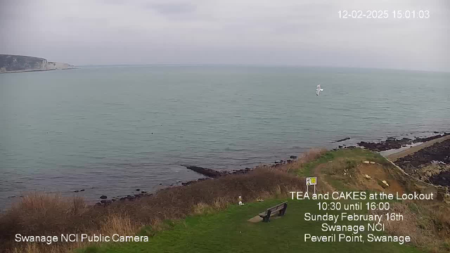 A coastal view featuring calm greenish-blue waters under a cloudy sky. The shoreline is lined with patches of brown and green vegetation. Near the center, there is a white seagull flying above the water. On the right side of the image, there's a rocky outcrop extending into the sea. In the foreground, a grassy area includes a wooden bench and a sign detailing an upcoming tea event. The image captures a serene seaside landscape with soft, muted colors.