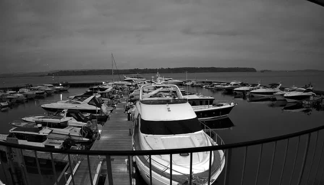 A black and white image of a marina filled with various boats docked at the pier. The boats vary in size and design, some with visible cabins and others with open decks. The water is calm and reflects the boats. In the background, there is a line of trees or land against a cloudy sky. The scene conveys a serene coastal atmosphere.