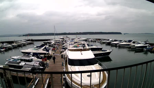 A view of a marina on a cloudy day, featuring many boats docked in the water. In the foreground, a wooden pier extends into the water, with several boats tied up alongside it. The boats vary in size and design, mostly white with some blue and black accents. There are a few people walking along the pier and some equipment visible on the boats. The horizon in the background shows a wooded area and more boats in the distance. The overall atmosphere is calm and tranquil.