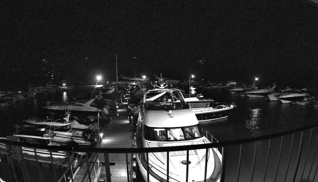 A dark night scene of a marina filled with boats. The image is primarily black and white, showcasing numerous yachts and smaller boats docked along a wooden pier. Some boats are illuminated by lights, and reflections can be seen on the calm water. A railing is visible in the foreground, providing a sense of depth to the scene.