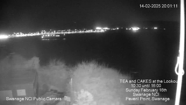 A nighttime view of a coastline illuminated by streetlights and buildings. In the foreground, there are silhouettes of bushes and structures, with faint outlines visible against the dark sky. The horizon features a series of lights stretching across the water, indicating a road or pathway along the shoreline. The bottom corner contains text advertising an event for tea and cakes, with details of the date and location. The overall scene conveys a tranquil nighttime ambiance.