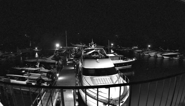 A nighttime scene of a marina filled with several boats and yachts. The image is in black and white, highlighting the reflections of light on the water. The dock area is visible in the foreground, with boats moored alongside. Soft lights illuminate the surroundings, creating a tranquil atmosphere. The image conveys a sense of calmness and activity at sea during the night.