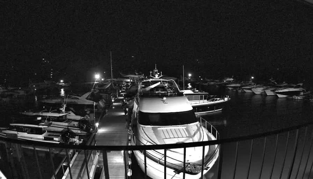 A nighttime view of a marina with various boats docked. The scene is illuminated by several artificial lights reflecting off the water. A large white yacht is prominently positioned in the foreground, while smaller boats are visible along the dock. The background features additional boats and buildings partially obscured by darkness. A railing in the foreground adds depth to the image.