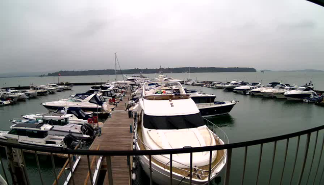 A view of a marina with numerous boats docked in calm waters. The scene is overcast with gray skies, and the marina features a wooden walkway alongside the boats. Various types of boats are visible, with some covered and others displaying vibrant colors. In the distance, a shoreline is seen against the water.