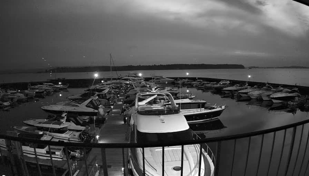 A nighttime image showing a marina filled with boats docked in the water. The scene is predominantly in black and white, illuminated by soft lights reflecting off the water. In the foreground, several boats with varying sizes and shapes are visible, with some covered by tarps. The water is calm, and beyond the marina, faint outlines of land can be seen in the distance under a cloudy sky.