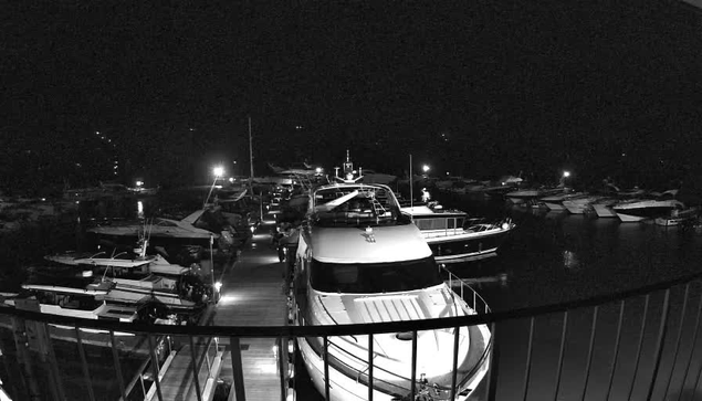 A nighttime view of a marina with several boats docked at a pier. The scene is illuminated by soft lights, reflecting on the water’s surface. In the foreground, a large white yacht is prominent, with additional smaller boats visible in the background. The overall image is monochromatic, emphasizing the contrast between the shadows and the light from the lamps along the dock.