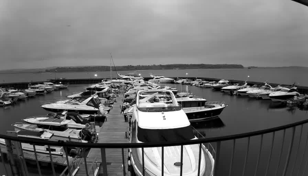 A black and white image shows a marina filled with various boats and yachts docked closely together. The scene is calm, with gentle water reflecting the overcast sky. A wooden dock is visible in the foreground, bordered by a railing. In the background, there are distant hills or land, blending into the horizon. The overall atmosphere is serene and slightly cloudy.