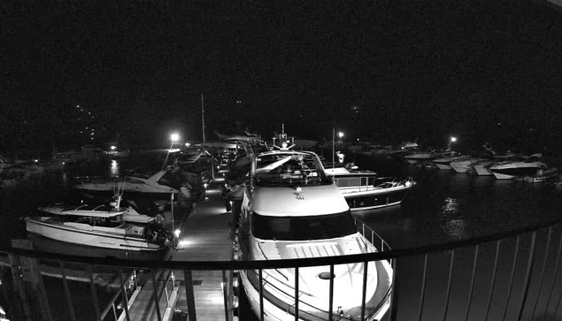 A nighttime view of a marina filled with various boats and yachts. The scene is illuminated by several lights reflecting on the water. The foreground features a large white yacht moored at a dock, with additional boats clustered around. The background shows more vessels and faint outlines of structures, all enveloped in darkness, with the water appearing calm.