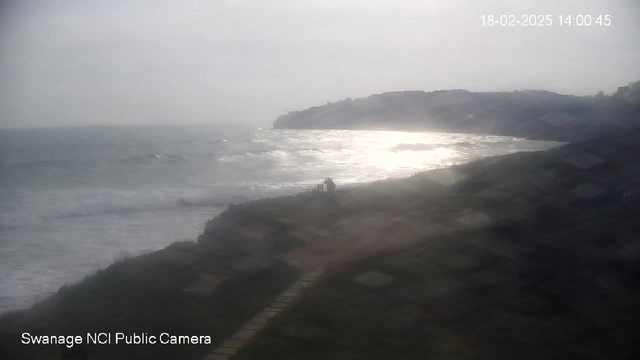 A hazy view of a coastal scene shows waves gently lapping at the shore under overcast skies. A figure stands on a grassy area near the edge of the water, with a pathway of stones leading down towards the beach. In the background, a rugged coastline rises against the cloudy sky. The image has a soft, blurred quality, making distant details less clear.