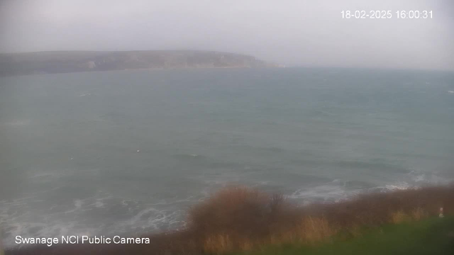 A cloudy scene over the sea, with waves visible and a grassy shoreline in the foreground. The view is somewhat obscured, creating a misty atmosphere. The coastline is slightly visible in the distance, blending into the overcast sky.