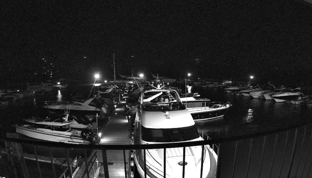 A nighttime scene of a marina filled with various boats and yachts. The image is predominantly in black and white, with a few bright lights illuminating parts of the water and the boats. There's a railing in the foreground leading to a dock where several boats are moored. The arrangement of the boats varies, some are larger yachts while others are smaller vessels. The overall atmosphere is quiet and serene, accentuated by the darkness of the night surrounding the marina.