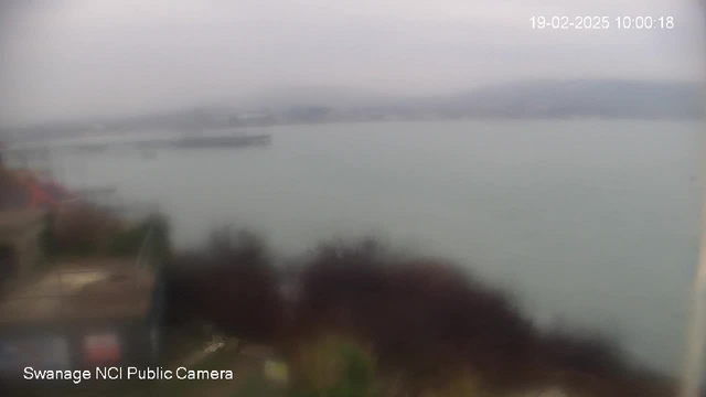 A blurry image showing a coastal scene with water in the foreground. The sky is overcast, and there are hints of land and structures along the shore to the left. A few indistinct outlines of boats or a pier are visible on the water. The time and date in the corner indicate it is 10:00 AM on February 19, 2025. A logo at the bottom identifies it as a public camera in Swanage.