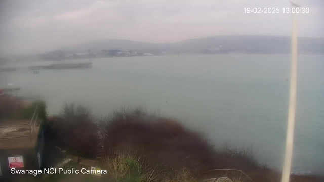 A cloudy view of a coastal area is shown, with a calm, light blue sea in the foreground. The shoreline features some overgrown bushes and trees, while a small dock or pier extends into the water. In the background, there are buildings and possibly boats, shrouded in mist or haze. The overall atmosphere appears tranquil and overcast. The bottom left corner has a sign indicating it is a public camera.