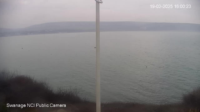 A foggy view of the sea, with muted gray water and a distant shoreline partially obscured. A white pole stands on the left side of the image, while the foreground has some low, dark vegetation. The timestamp at the top right shows the date and time as 19th February 2025, 16:00:23.