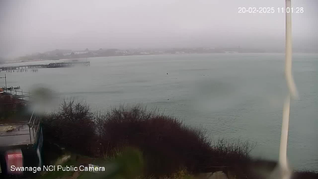 A cloudy and overcast view of a waterfront scene. The foreground shows some dark bushes and structures, while the mid-ground features a calm body of water with a hint of a distant pier. The background includes hazy outlines of a coastal town, partially obscured by fog. The scene is muted and lacks bright colors due to the weather conditions.