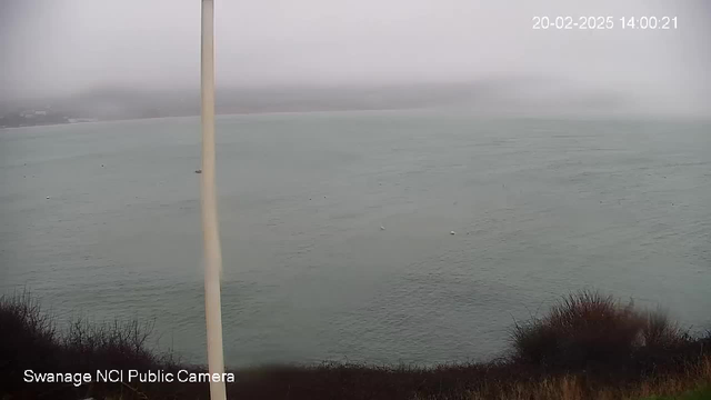 A foggy coastal scene showing a calm body of water with a greyish tint. In the foreground, there are some dark, bushy shrubs. The view includes a few small boats on the water, barely visible due to the mist. In the background, faint outlines of land and buildings are noticed but are obscured by the thick fog. A vertical pole stands to the left side of the image. The time and date are displayed in the upper right corner.