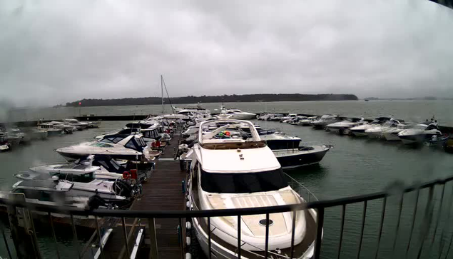 A marina filled with various boats anchored at docks. The scene is cloudy and overcast, with a gray sky. Water reflects the boats and the surrounding area. Some boats are larger yachts, while others are smaller vessels. In the background, a coastline can be seen faintly through the mist, and the environment appears calm despite the gloomy weather.