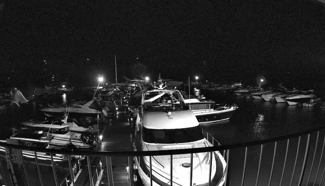 A nighttime scene of a marina filled with several boats and yachts docked in a calm harbor. The image is predominantly black and white, with scattered bright lights illuminating the boats and surrounding area. The water reflects some of the lights, creating a shimmering effect. A railing is visible in the foreground, framing the lower part of the scene. The atmosphere appears quiet and serene, typical of a peaceful evening at the marina.