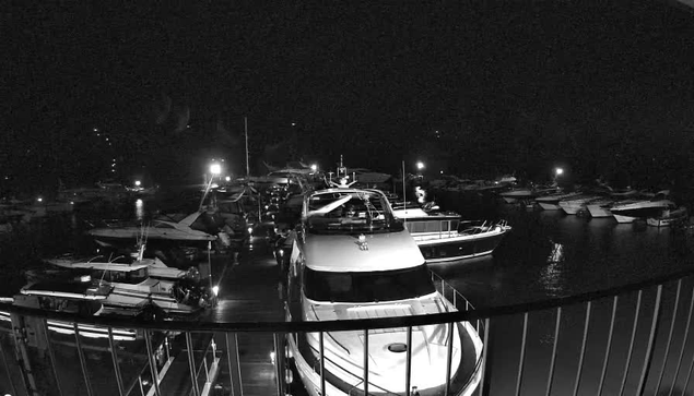 A nighttime view of a marina filled with various boats and yachts. The scene is primarily in black and white, with soft lighting illuminating parts of the boats and the water. The boats are docked closely together, and the reflections of the lights shimmer on the water's surface. A railing is visible in the foreground, framing the image.