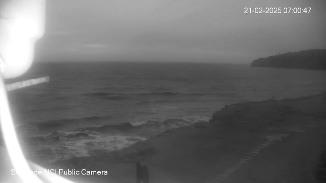 A grayscale image of a coastal scene taken from a webcam. The ocean is visible, with gentle waves lapping against the shore. In the foreground, there is a sandy beach with a few rocks scattered along it. To the right, a cliff rises above the beach, but the detail is blurred due to the distance. The sky is overcast and appears cloudy, contributing to the overall muted lighting of the scene.