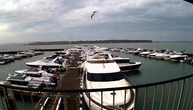 A view of a marina filled with various boats and yachts docked closely together. In the foreground, a large white yacht is prominently positioned. Several smaller boats surround it, and a wooden dock leads into the scene. Above, a seagull is flying in the cloudy sky, and in the distance, a green hill is visible across the water. The overall atmosphere is tranquil, with soft waves in the harbor.