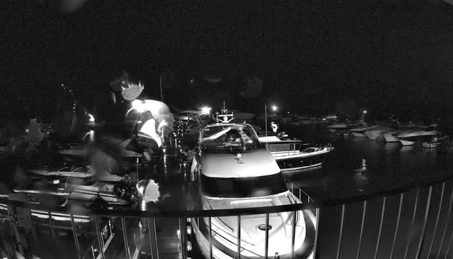 A nighttime scene of a marina, featuring several boats docked in the water. The image is in black and white, with visible reflections on the water's surface. Some boats are more illuminated than others by distant lights, while raindrops appear on the lens, creating a blurred effect. There is a railing in the foreground, suggesting a viewpoint from a deck or pier. Overall, the atmosphere is calm and quiet, typical of a marina at night.