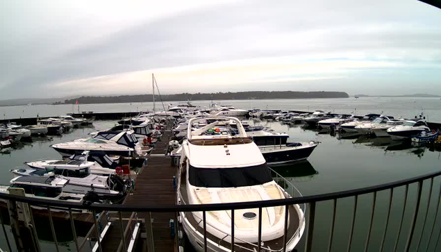 A view of a marina with numerous boats anchored in calm water. In the foreground, a large white yacht is prominently positioned. Surrounding boats vary in size and color, with some having matching covers. The sky is overcast, with soft gray tones, while distant land is visible along the horizon. The calm water reflects the boats and the muted light from the sky. A wooden dock is partially visible in the lower section of the image.