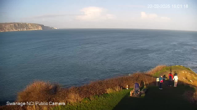 A coastal scene with a clear sky and calm sea. In the foreground, a grassy area bordered by bushes. Several people are standing on the edge, some holding a dog, and appear to be enjoying the view. The sea stretches out to the horizon with gentle waves, and cliffs are visible in the background. The scene is brightly lit by sunlight.