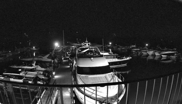 A nighttime scene of a marina filled with various boats docked. The image is in black and white, with faint lights illuminating some boats and the wooden dock. The perspective shows a railing in the foreground, and multiple vessels of different sizes are scattered across the water. The overall atmosphere appears calm and quiet.