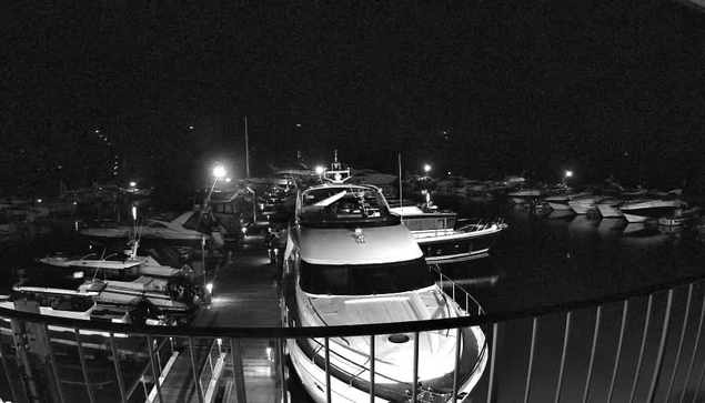 A nighttime scene of a marina filled with various boats and yachts. The image is primarily in black and white, showing the reflection of lights on the water's surface. Several boats are moored alongside a wooden dock, with some illuminated by artificial lights. The background features additional boats away from the dock, partially obscured in shadows. The setting conveys a calm and serene atmosphere typical of a quiet waterfront location at night.