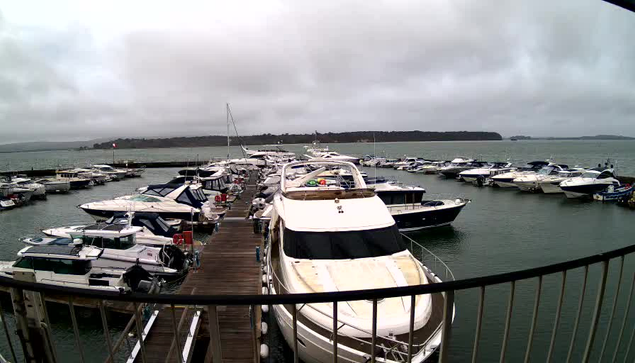 A view of a marina with several boats docked in calm water. The scene is slightly overcast, with gray clouds in the sky. The docks made of wood extend into the water, lined with different types of boats, including motorboats and yachts, some covered and some uncovered. In the background, there is a green shoreline and additional boats moored further out. The atmosphere appears tranquil and still.