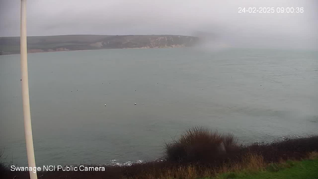 A cloudy view of a calm sea with a greenish hue, where several small white buoys are visible floating on the water's surface. In the background, there are steep cliffs with greenery, slightly obscured by mist. The foreground features coastal vegetation, including dark shrubs and grass. The image timestamp indicates it was taken in the early morning.