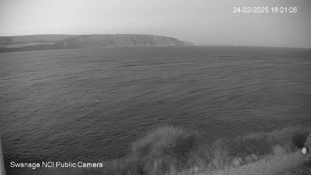 A black-and-white webcam image shows a calm sea with gentle waves. The horizon features a distant cliffside with rolling hills above it. Three small white objects are visible on the water's surface. In the foreground, there is grassy vegetation, and at the bottom right, a person stands, slightly obscured by the grass. The date and time displayed in the corner indicate it is 18:01 on February 24, 2025.