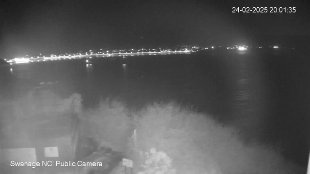 A nighttime view of a waterfront with faint lights reflecting on calm water. In the foreground, there are dark silhouettes of a few bushes and objects, while the background shows a row of lights along the shore, indicating a pathway or road. The scene is predominantly in shades of black and gray, conveying a tranquil, nighttime atmosphere.